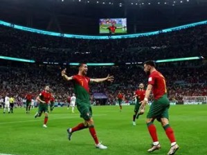 球皇社博球网投评级及平台综合检视报告